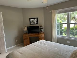 21008 W Hazelnut Ln, Plainfield, IL 60544 - photo 21