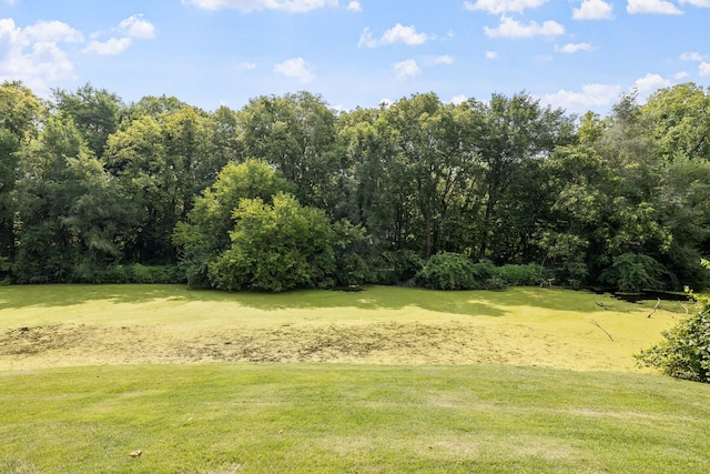 941 E Washington St, Morris, IL 60450 - photo 16
