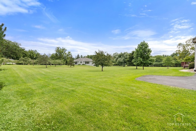 175 Clover Hill Ln, North Barrington, IL 60010 - photo 57