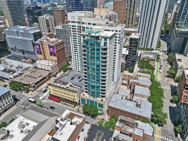 60 W Erie St Unit 502, Chicago, IL 60654 - photo 39