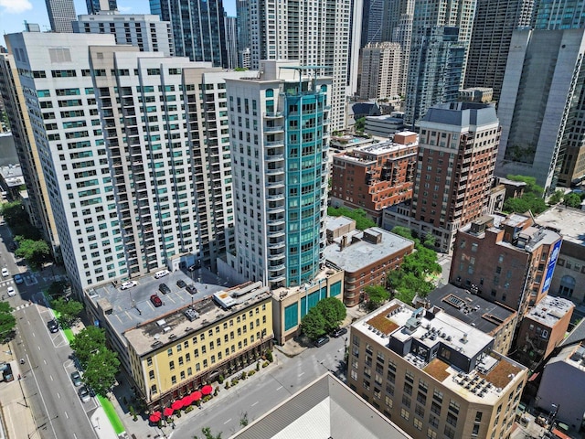 60 W Erie St Unit 502, Chicago, IL 60654 - photo 40