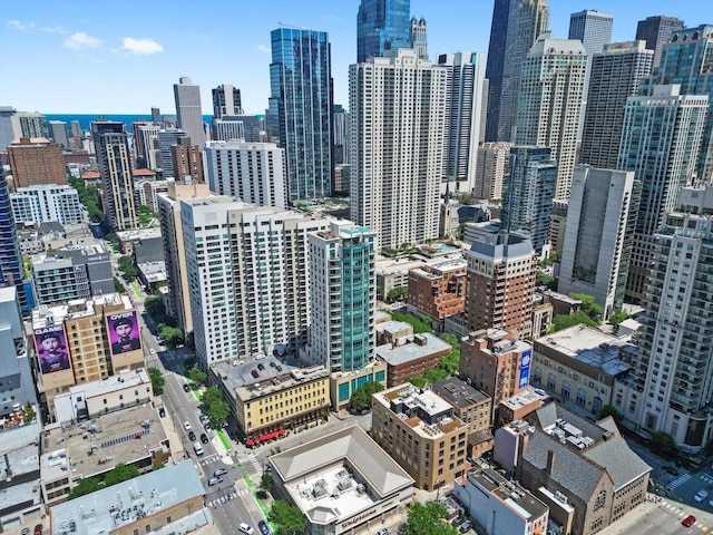 60 W Erie St Unit 502, Chicago, IL 60654 - photo 41