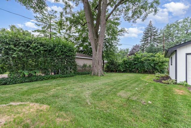 24 Hiawatha Dr, Clarendon Hills, IL 60514 - photo 21