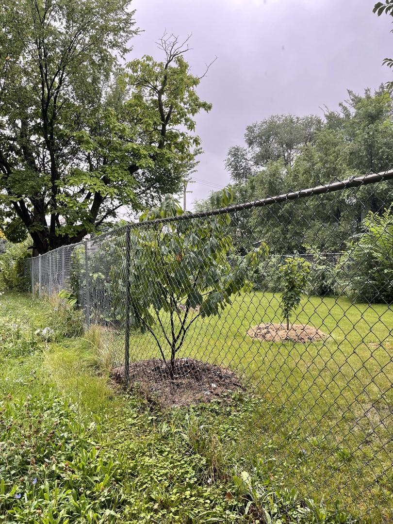 2825 W Monroe St, Chicago, IL 60612 - photo 3