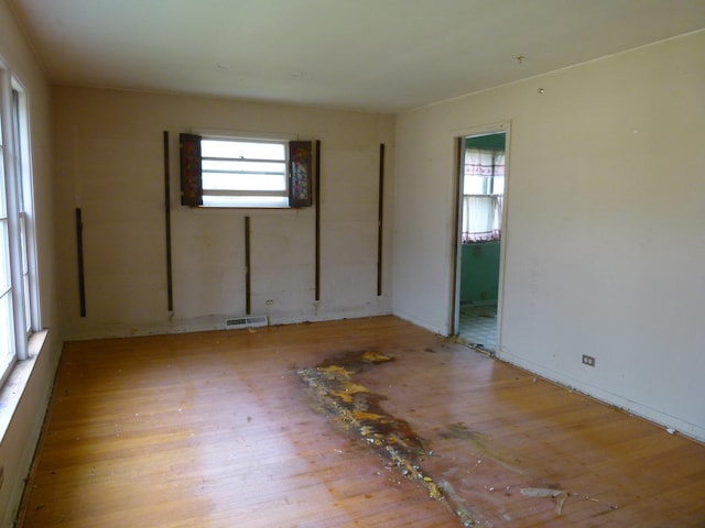 243 N Yale Ave, Arlington Heights, IL 60005 - photo 3