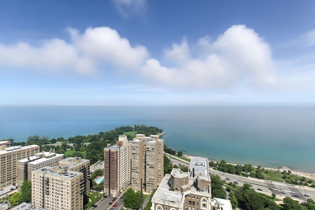 1700 E 56th St Unit 2809, Chicago, IL 60637 - photo 18