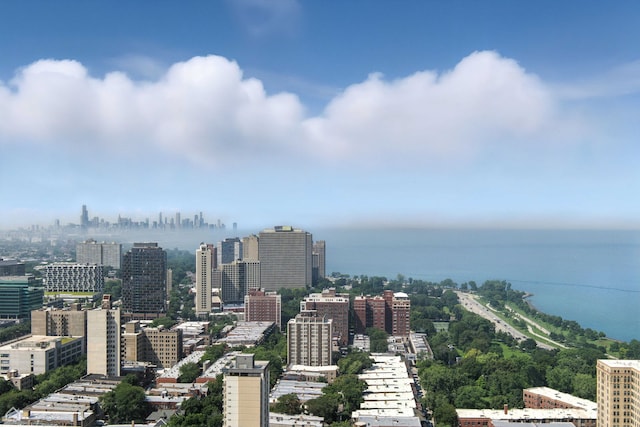 1700 E 56th St Unit 2809, Chicago, IL 60637 - photo 20