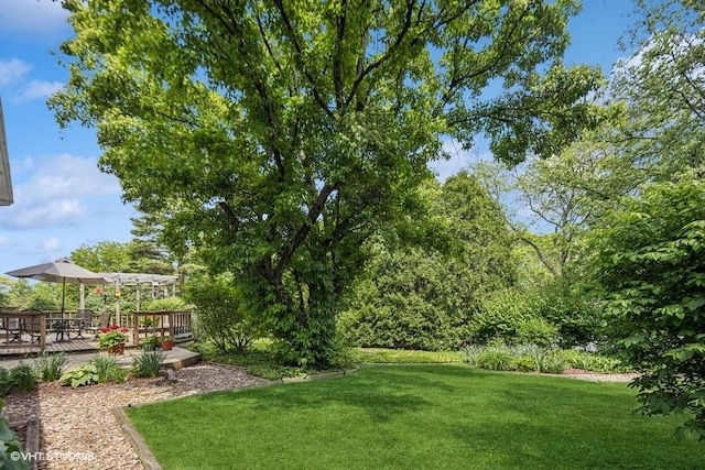 6531 Deerpath Ct, Lisle, IL 60532 - photo 27