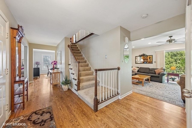 6531 Deerpath Ct, Lisle, IL 60532 - photo 10