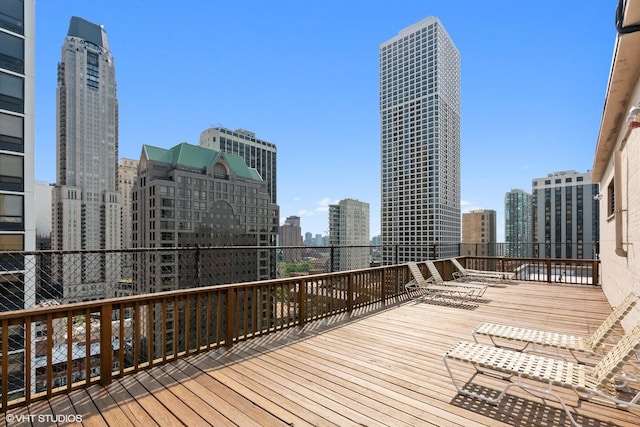 33 E Cedar St Unit 8H, Chicago, IL 60611 - photo 14