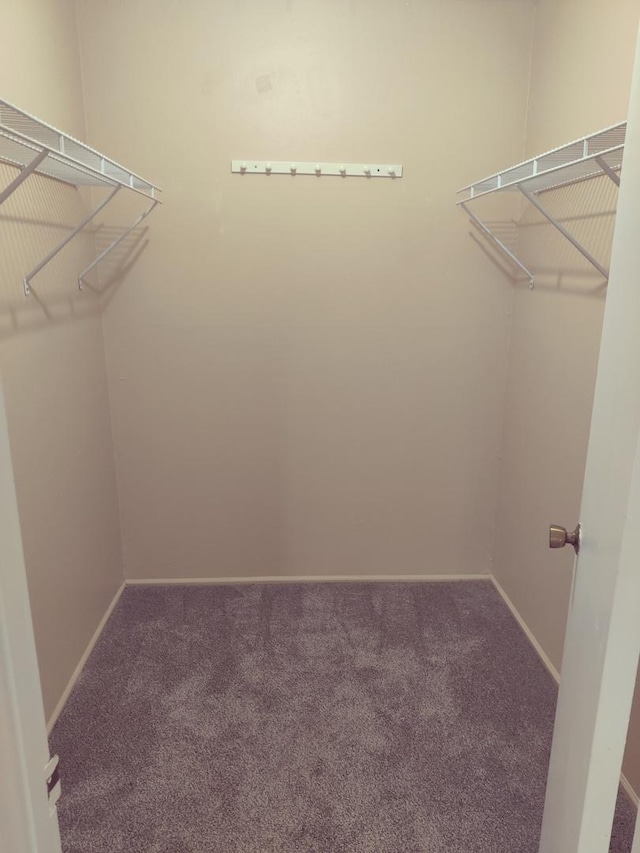 2419 S Goebbert Rd Unit 210, Arlington Heights, IL 60005 - photo 6