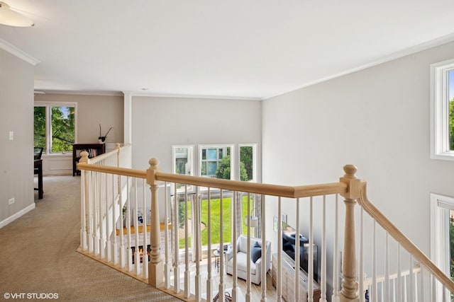 1049 W Sutton Ct, Palatine, IL 60067 - photo 13