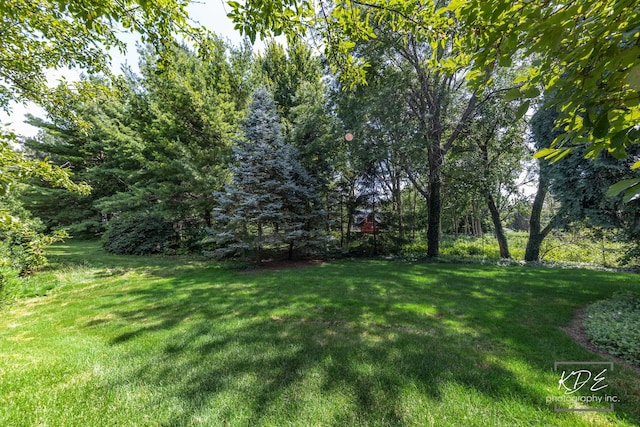 2247 Palmer Cir, Naperville, IL 60564 - photo 48