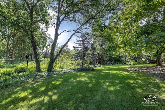 2247 Palmer Cir, Naperville, IL 60564 - photo 49
