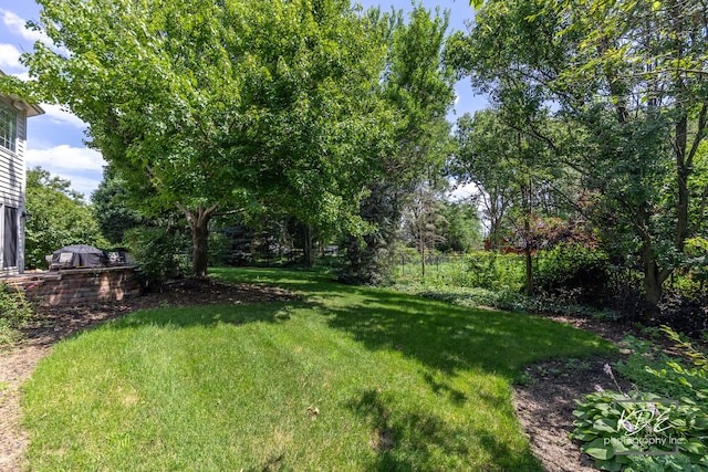 2247 Palmer Cir, Naperville, IL 60564 - photo 50