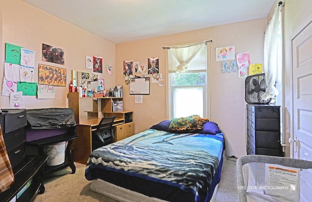38878 N Sheridan Rd, Beach Park, IL 60099 - photo 41