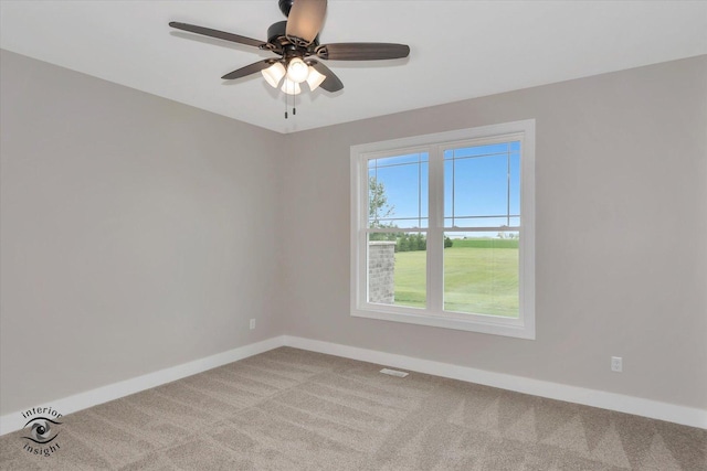 362 White Hawk Way, Manteno, IL 60950 - photo 12