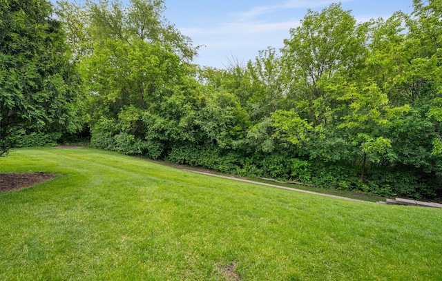 497 Metropolitan St, Aurora, IL 60502 - photo 22
