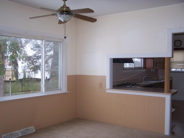 1005 N Green St, Mchenry, IL 60050 - photo 6