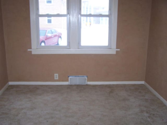 1005 N Green St, Mchenry, IL 60050 - photo 7