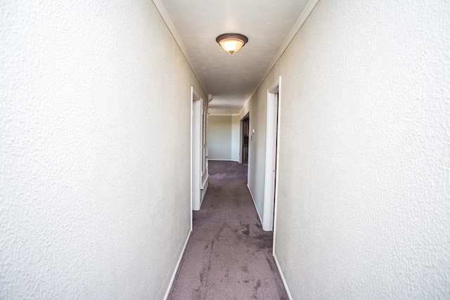 hall featuring carpet floors and a textured ceiling