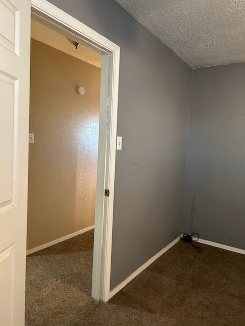 clothes washing area featuring carpet, baseboards, and a textured ceiling