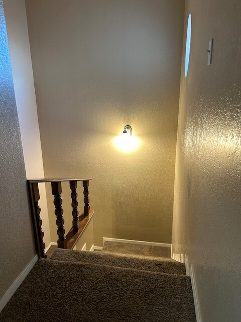 staircase with baseboards and carpet floors