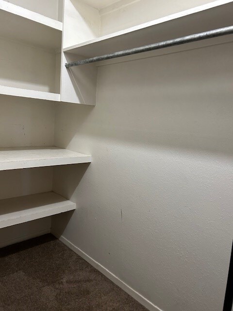 spacious closet featuring dark carpet