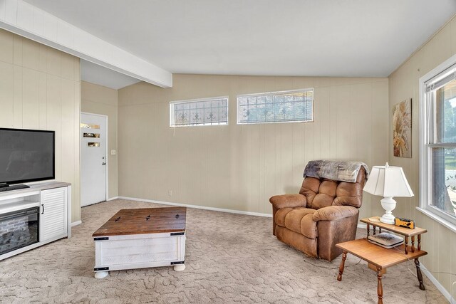 308 N 5th St, Coahoma, TX 79511 - photo 11
