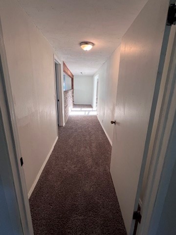 corridor with carpet flooring