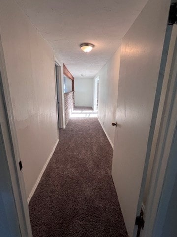 hallway featuring carpet