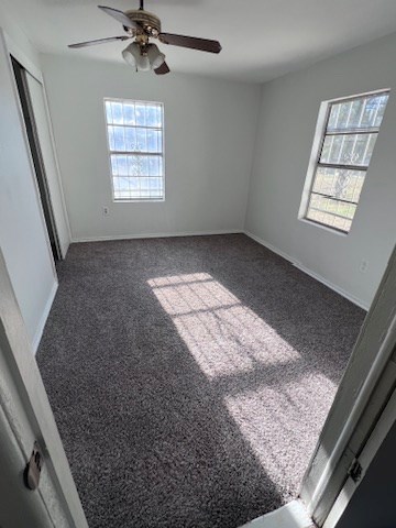 unfurnished bedroom with multiple windows, ceiling fan, and dark colored carpet