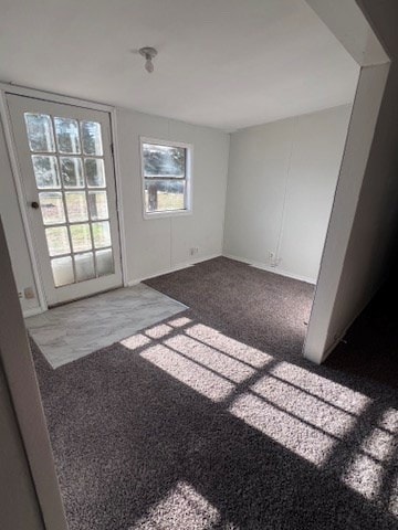 unfurnished room featuring carpet floors