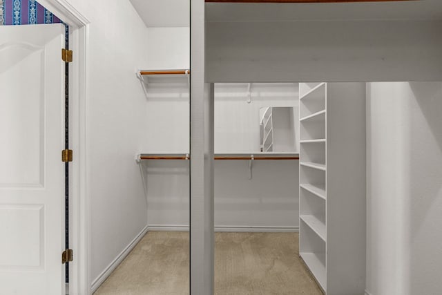 spacious closet featuring carpet floors