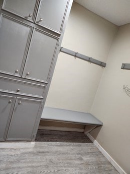 walk in closet with light hardwood / wood-style flooring