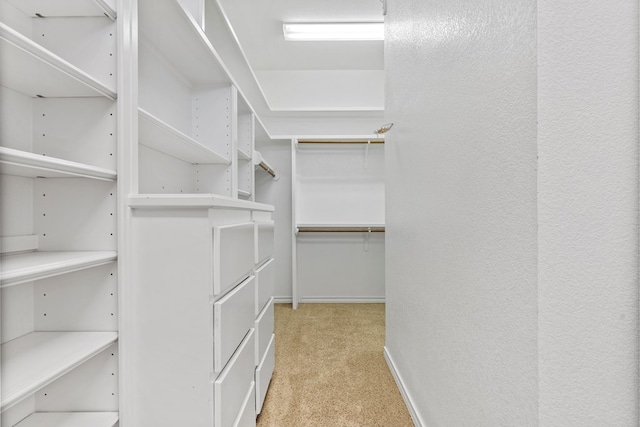 spacious closet with light carpet