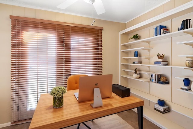 office space with ceiling fan and crown molding