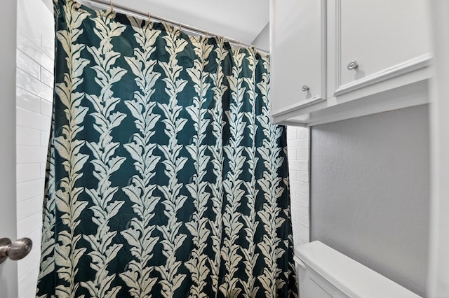 4502 Green Tree Blvd, Midland, TX 79707 - bathroom with toilet and a shower with shower curtain