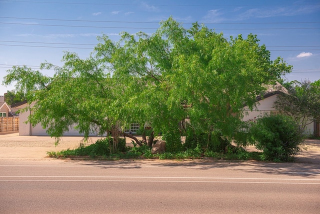 4502 Green Tree Blvd, Midland, TX 79707 - view of property hidden behind natural elements featuring a garage