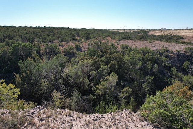 0000 Camp Springs Rd, Snyder, TX 79549 - photo 6