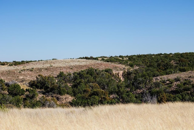 0000 Camp Springs Rd, Snyder, TX 79549 - photo 7