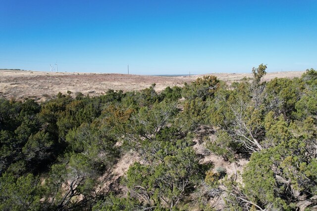 0000 Camp Springs Rd, Snyder, TX 79549 - photo 5