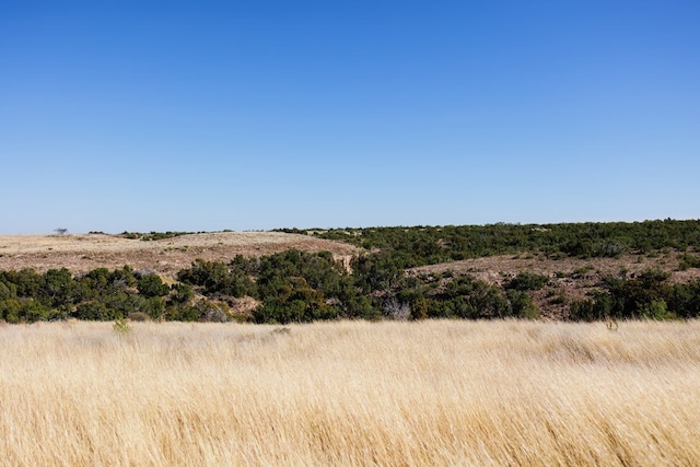 0000 Camp Springs Rd, Snyder, TX 79549 - photo 10