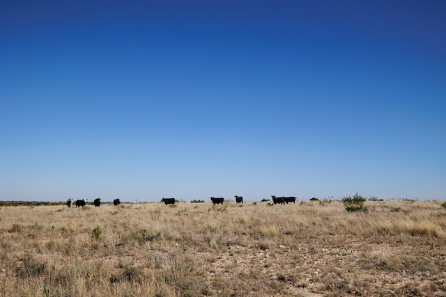0000 Camp Springs Rd, Snyder, TX 79549 - photo 14