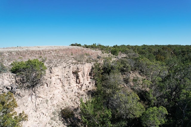 0000 Camp Springs Rd, Snyder, TX 79549 - photo 3