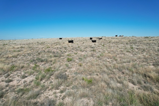0000 Camp Springs Rd, Snyder, TX 79549 - photo 13