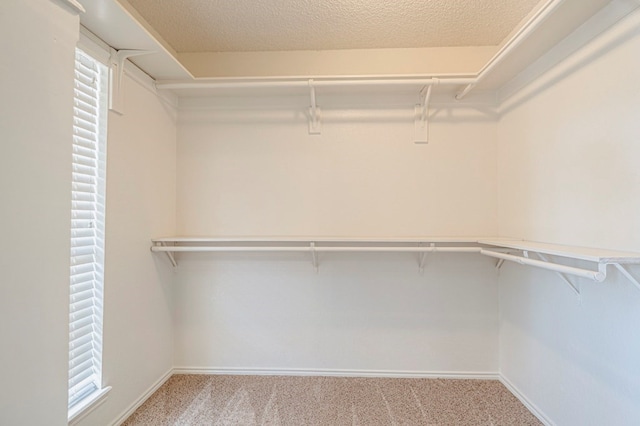 walk in closet with light colored carpet