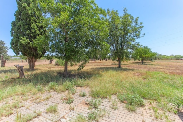 view of local wilderness featuring a rural view