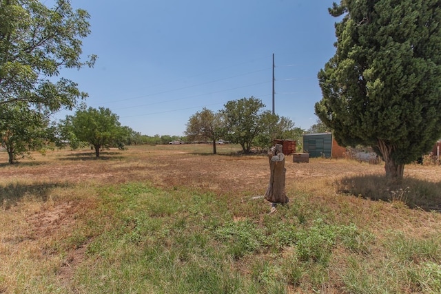 view of yard with a rural view