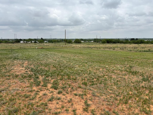 view of yard with a rural view